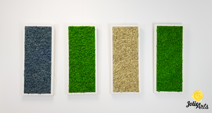 Set 4 tablouri cu licheni naturali stabilizati, dimensiune 30 x 70 cm [4]