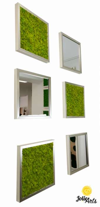 Set tablouri cu licheni Spring Green / Oglinzi [1]