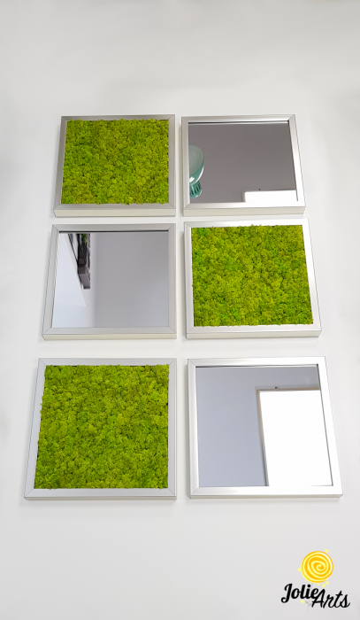 Set tablouri cu licheni Spring Green / Oglinzi [4]
