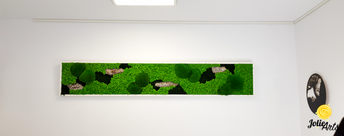 Tablou Scoarță Clasică Jolie Arts cu Mușchi și Licheni Naturali [3]