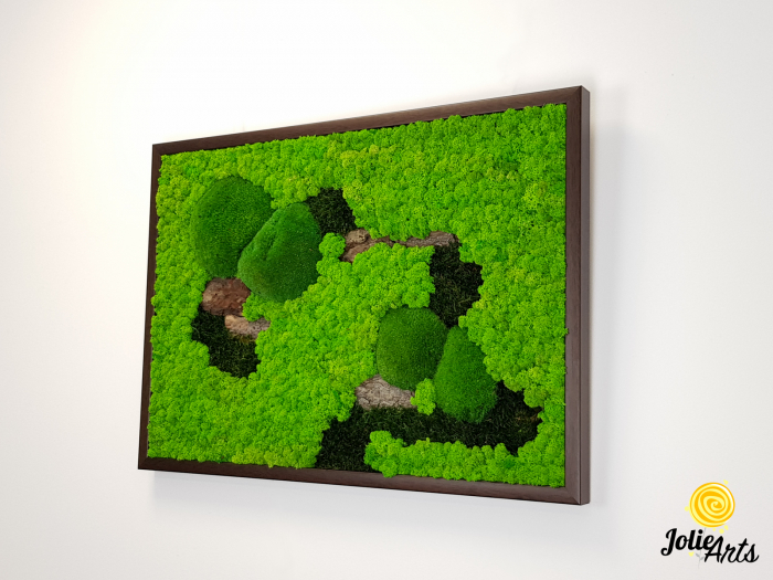 Tablou Scoarță Clasică Jolie Arts cu Mușchi și Licheni Naturali [2]