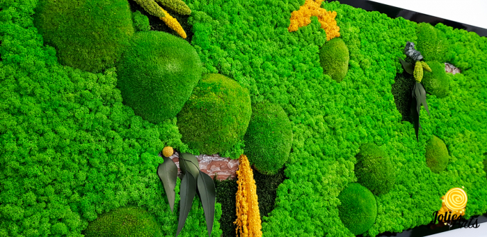Tablou cu licheni, muschi si plante naturale stabilizate, Jolie Arts, model personalizat [7]