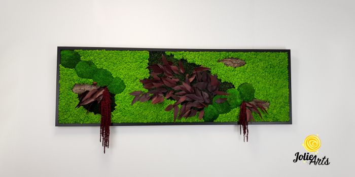 Tablou licheni, muschi si plante naturale stabilizate, Model Amaranthus Rosu, 30 x 70 cm, rama neagra, Jolie Arts, www.tablouriculicheni.ro-2 [3]