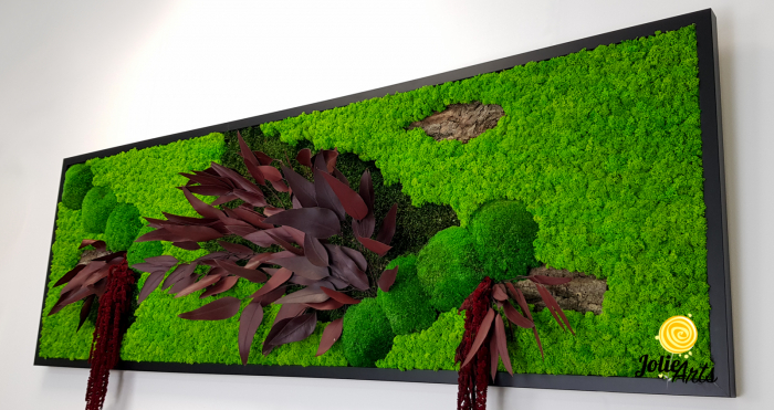 Tablou licheni, muschi si plante naturale stabilizate, Model Amaranthus Rosu, 30 x 70 cm, rama neagra, Jolie Arts, www.tablouriculicheni.ro-2 [5]