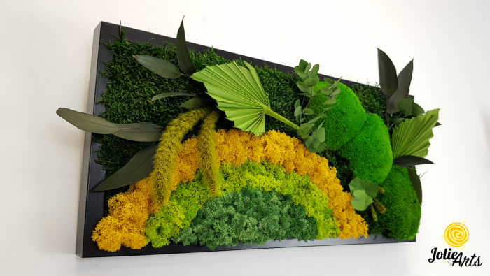 Model Soare Clasic - tablou cu licheni, mușchi stabilizați și plante naturale [5]