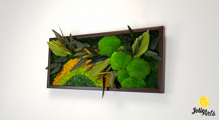 Model Soare Clasic - tablou cu licheni, mușchi stabilizați și plante naturale [4]