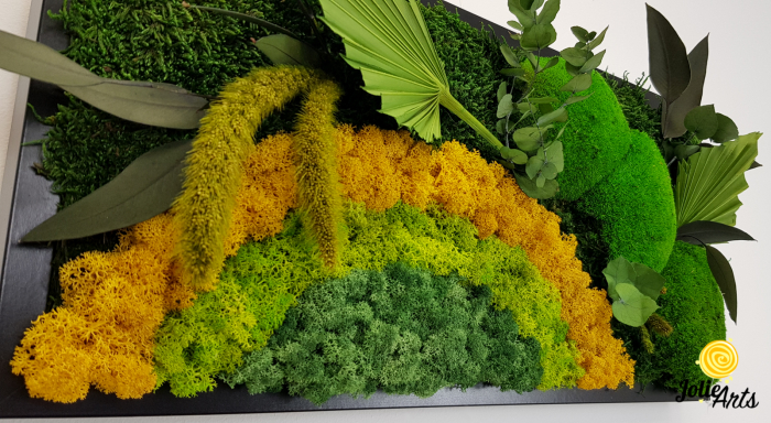 Model Soare Clasic - tablou cu licheni, mușchi stabilizați și plante naturale [7]