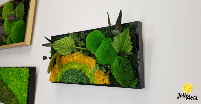 Model Soare, tablou licheni, muschi si plante naturale stabilizate, 30 x 70 cm, rama de culoare maro inchis, Jolie Arts, www.tablouriculicheni.ro-2 [2]