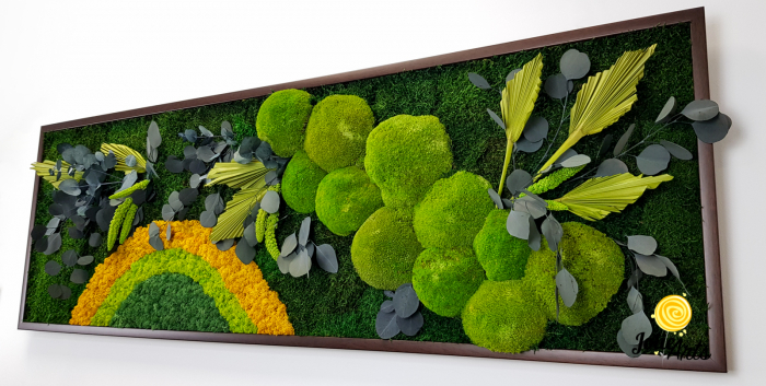 Model Soare Clasic - tablou cu licheni, mușchi stabilizați și plante naturale [7]