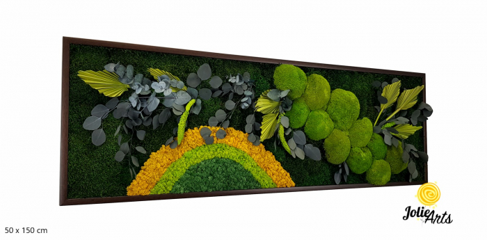 Model Soare, tablou licheni, muschi si plante naturale stabilizate, 30 x 70 cm, rama de culoare maro inchis, Jolie Arts, www.tablouriculicheni.ro-2 [1]
