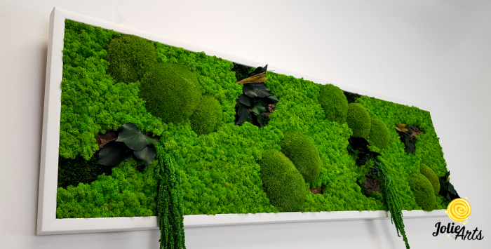 Model Green Amaranthus – Tablou cu licheni, mușchi și plante stabilizate [7]