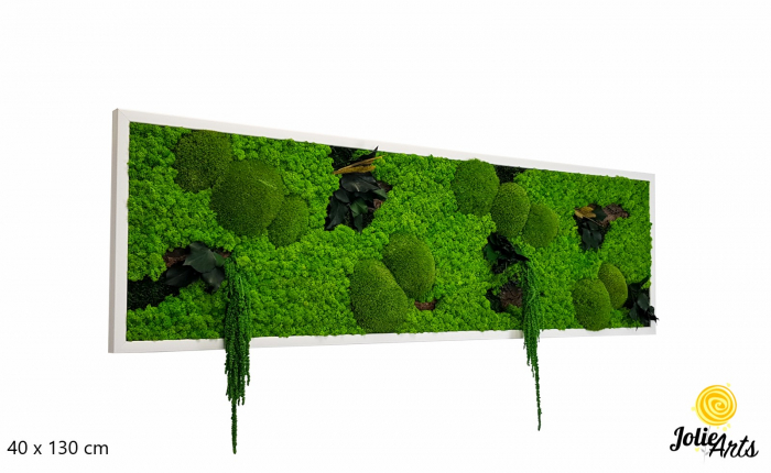 Model Green Amaranthus – Tablou cu licheni, mușchi și plante stabilizate [2]