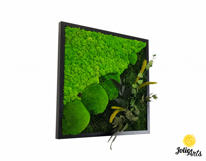 Tablou Clarice – 50 x 50 cm, licheni, mușchi bombat și plante naturale [2]