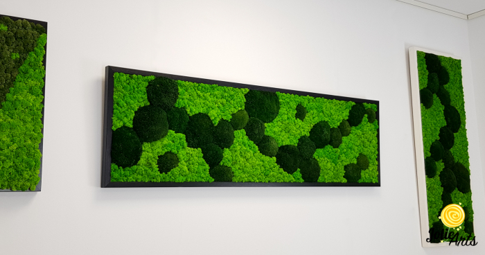 Tablou licheni, muschi bombati verde inchis, Jolie Arts [4]
