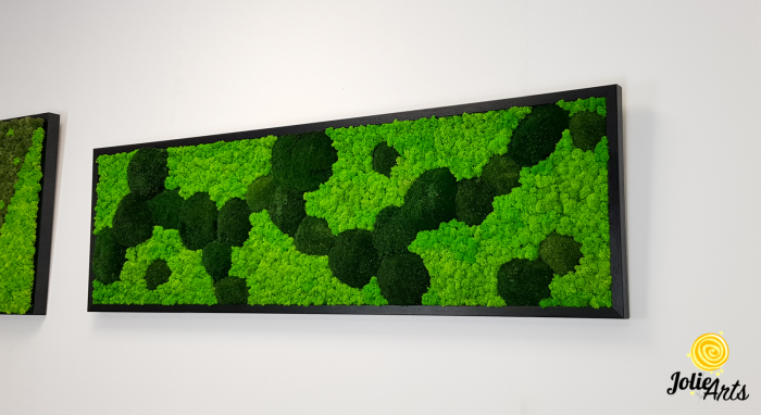 Tablou licheni, muschi bombati verde inchis, Jolie Arts [2]