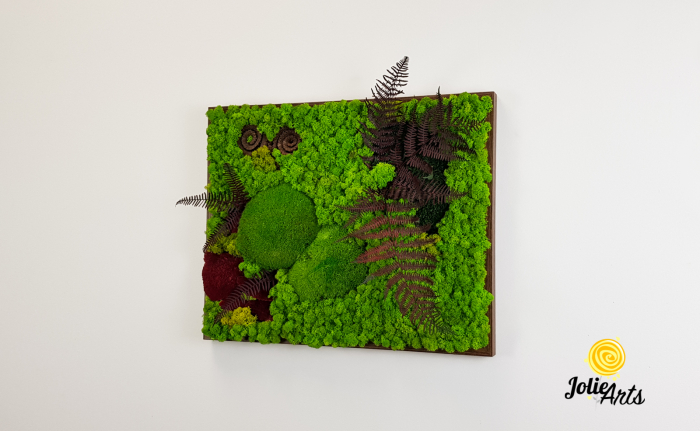 Tablou licheni, muschi de padure si plante naturale stabilizate Jolie Arts, model Fern [2]