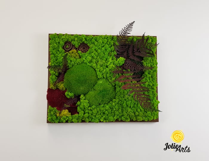 Tablou licheni, muschi de padure si plante naturale stabilizate Jolie Arts, model Fern [3]