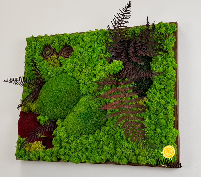 Tablou licheni, muschi de padure si plante naturale stabilizate Jolie Arts, model Fern [5]