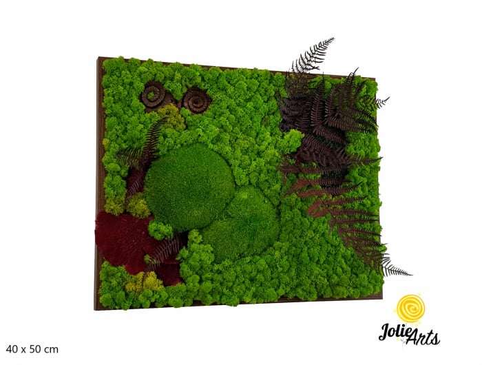 Tablou licheni, muschi de padure si plante naturale stabilizate Jolie Arts, model Fern [1]