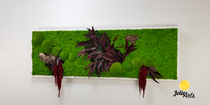 Tablou Amaranthus Roșu orizontal cu licheni și mușchi naturali [2]