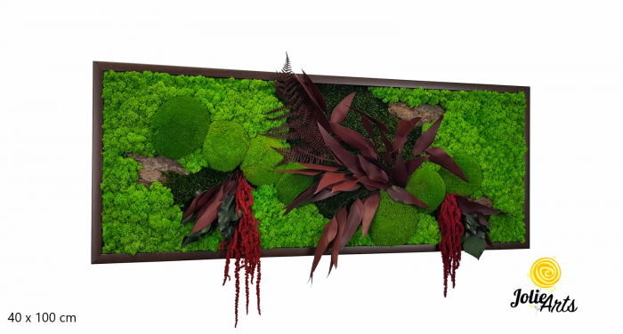 Tablou Amaranthus Roșu orizontal cu licheni și mușchi naturali [3]