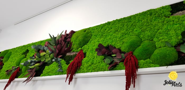 Tablou licheni, muschi si plante naturale stabilizate, Jolie Arts, Model Amaranthus Rosu [5]