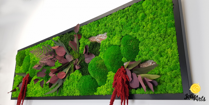 Tablou licheni, muschi si plante naturale stabilizate, Jolie Arts, Model Amaranthus Rosu [6]