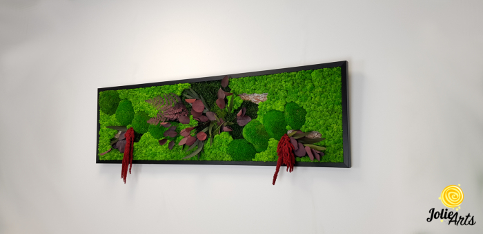 Tablou licheni, muschi si plante naturale stabilizate, Jolie Arts, Model Amaranthus Rosu [4]