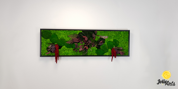 Tablou licheni, muschi si plante naturale stabilizate, Jolie Arts, Model Amaranthus Rosu [3]