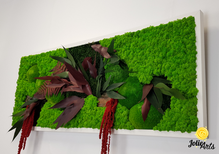 Tablou Amaranthus Roșu orizontal cu licheni și mușchi naturali [6]