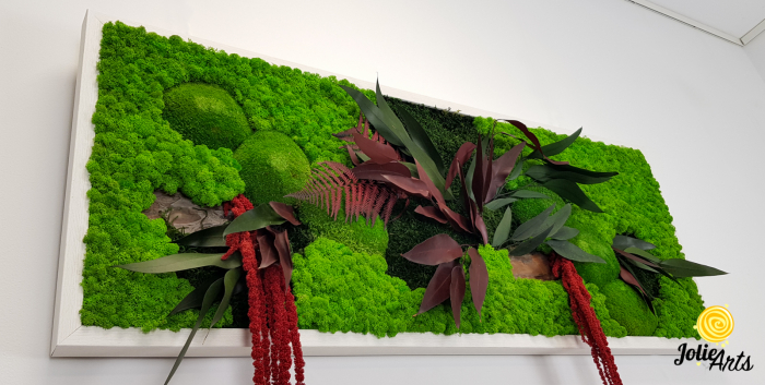 Tablou Amaranthus Roșu orizontal cu licheni și mușchi naturali [5]