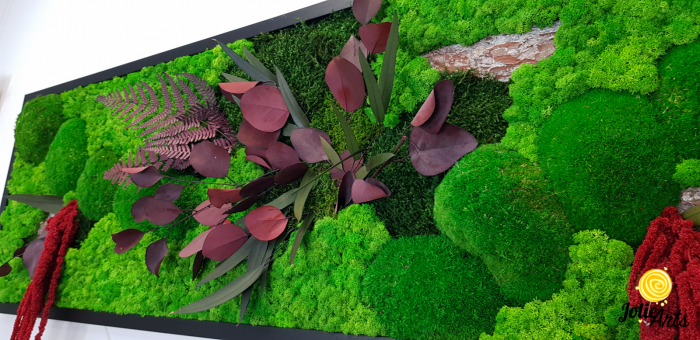 Tablou licheni, muschi si plante naturale stabilizate, Jolie Arts, Model Amaranthus Rosu [7]