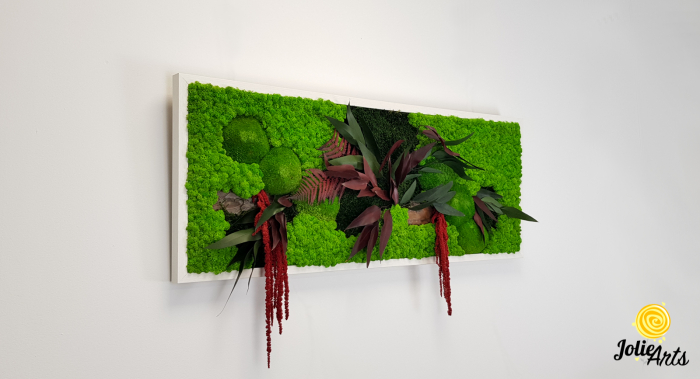 Tablou Amaranthus Roșu orizontal cu licheni și mușchi naturali [2]