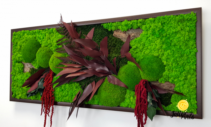 Tablou Amaranthus Roșu orizontal cu licheni și mușchi naturali [7]