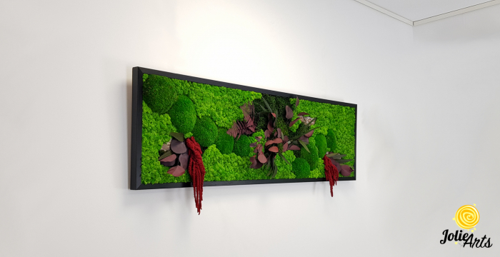 Tablou licheni, muschi si plante naturale stabilizate, Jolie Arts, Model Amaranthus Rosu [2]