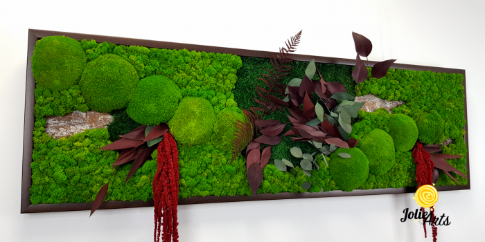 Tablou Amaranthus Roșu licheni mușchi bombat – format mare [6]