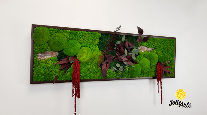 Tablou Amaranthus Roșu licheni mușchi bombat – format mare [3]