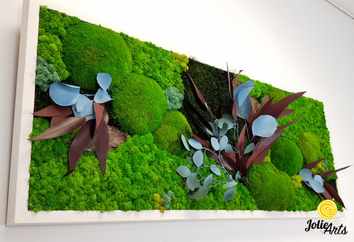 Tablou licheni, muschi si plante naturale stabilizate Jolie Arts, model Ilona [4]
