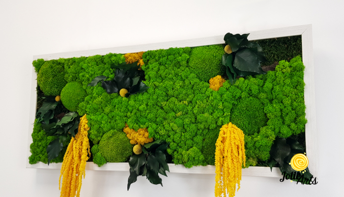 Tablou Amaranthus Galben natural cu licheni și mușchi bombat [7]