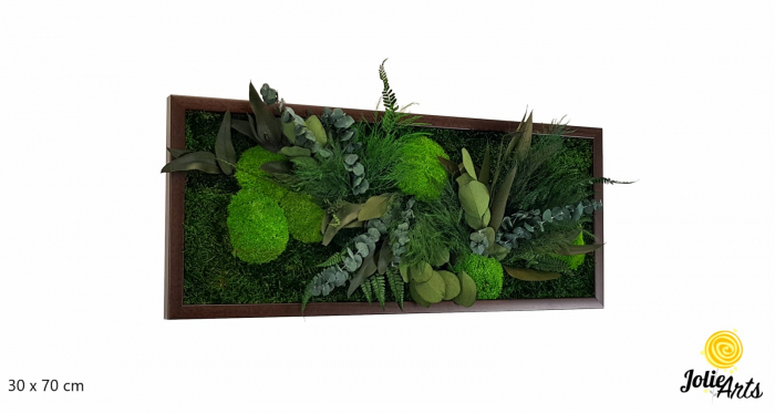 Tablou Green Day Jolie Arts cu licheni, mușchi și plante naturale stabilizate [2]