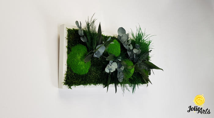 Tablou Green Day Jolie Arts cu licheni, mușchi și plante naturale stabilizate [2]