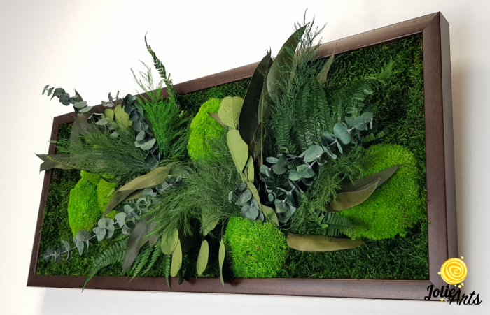 Tablou Green Day Jolie Arts cu licheni, mușchi și plante naturale stabilizate [7]