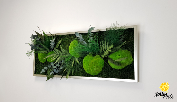 Tablou Green Day Jolie Arts cu licheni, mușchi și plante naturale stabilizate [2]