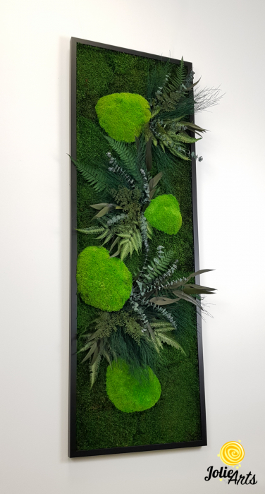 Tablou Green Day Jolie Arts cu licheni, mușchi și plante naturale stabilizate [8]