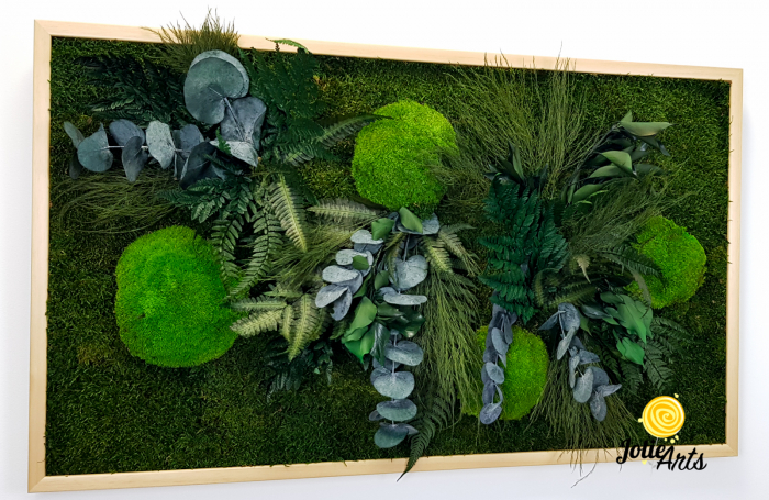 Tablou Green Day Jolie Arts cu licheni, mușchi și plante naturale stabilizate [5]
