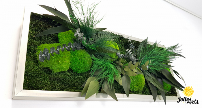 Tablou licheni, muschi si plante naturale stabilizate, model Green Day, Jolie Arts [5]