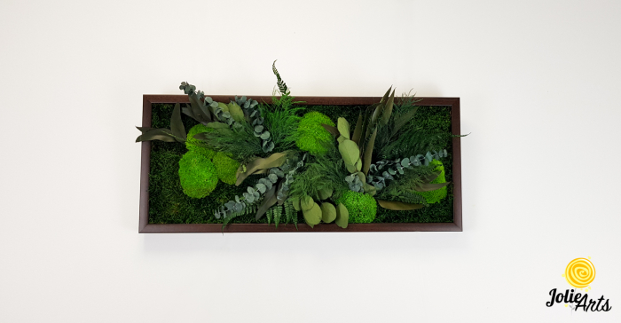 Tablou Green Day Jolie Arts cu licheni, mușchi și plante naturale stabilizate [4]