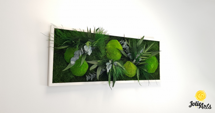 Tablou licheni, muschi si plante naturale stabilizate, model Green Day, Jolie Arts [4]