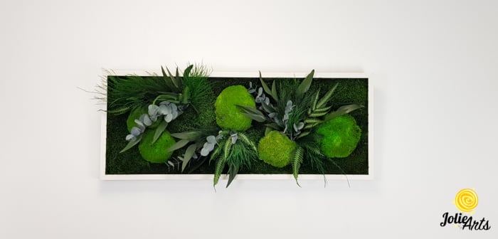 Tablou licheni, muschi si plante naturale stabilizate, model Green Day, Jolie Arts [3]