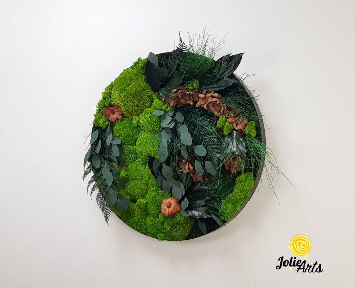 Tablou Round Green cu licheni și mușchi stabilizați, ramă rotundă Jolie Arts [3]